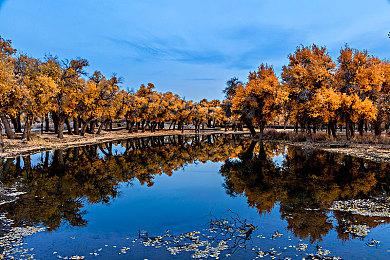 传闻《星之卡比：飞天骑士》媒体试玩版将登陆科隆展